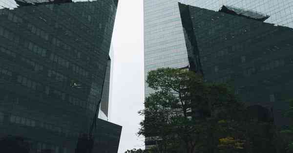 Snap 下载